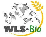 Logo WLS zs